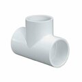 Thrifco Plumbing 1-1/4 Inch Slip x Slip x Slip PVC Tee SCH 40 8114560